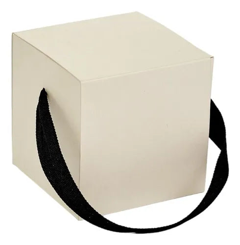 cod: 2533 (25u) CAJA CUBO C/ MANIJA SOUVENIRS PORCIONES U - medida: 10x10x3