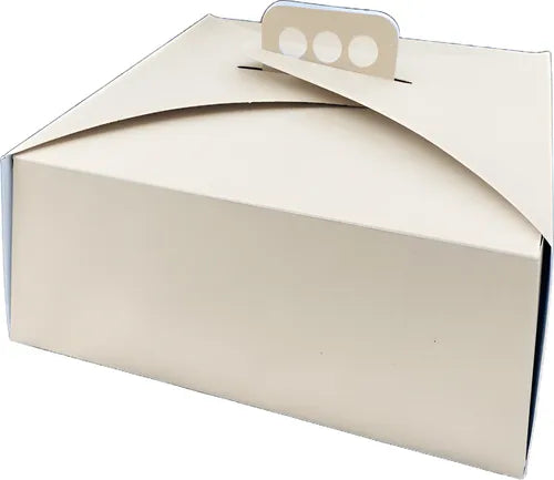cod: 4078 (10u) CAJAS TORTA TARTA PANADERÍA REPOSTERÍA DOBLE FAZ - medida: 30x30x9