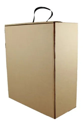 cod: 4271 (20u) CAJA BOLSA PARA ZAPATOS BOTAS COLORES - medida: 32x28x13