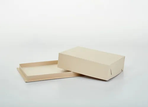 cod: 3316 (60u) CAJA SALADITOS PICADA MASAS SUSHI 1/4KG U - medida: 21x16x4