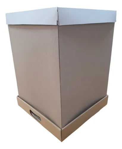 cod: 175 (10u) CAJA TORTA VERTICAL WH CARTON DRIP 40x27x27 - medida: 40x27x27