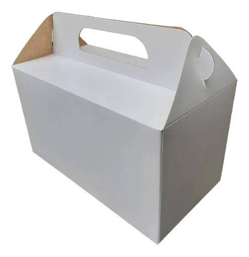cod: 3566 (10u) CAJA VALIJA PARA DESAYO   23 - medida: 24x14x4.7