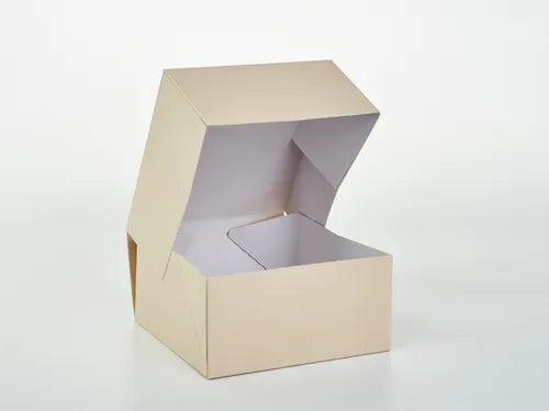 cod: 3114 (25u) CAJA 1 PIEZA DESAYOS DELIVERY TAKE AWAY  U - medida: 20x20x3