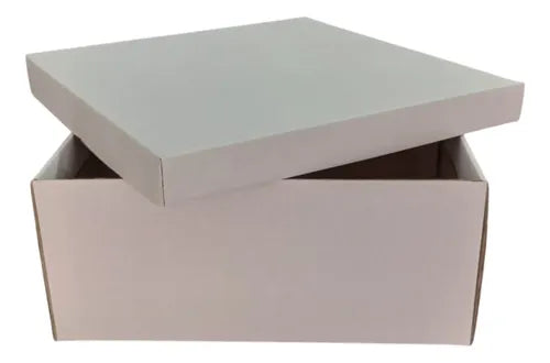 cod: 4007 (50u) CAJA PARA BOTA/BOTINETA  BLANCO - medida: 28x28x10