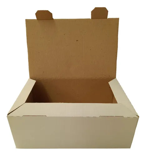 cod: 217 (10u) CAJA ZAPATOS NIÑOS BLANCO COR. ESTUCHE 25X15X9 (10U) COD: 217 - medida: 25x15x9