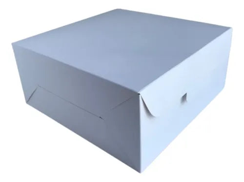 cod: 3463 (10u) CAJA DELIVERY  SIN VISOR - medida: 22x22x10
