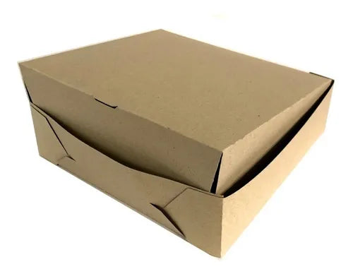 cod: 3747 (100u) CAJA DELIVERY LOMO GRANDE TIPO BISAGRA   C. - medida: 25x23x7.5