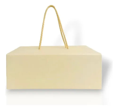 cod: 3621 (25u) CAJA BOLSA PREMIUM RÍGIDA C/CORDÓN  U - medida: 25x18x5