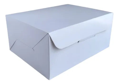cod: 3464 (10u) CAJA DELIVERY SIN VISOR - medida: 22x17x13