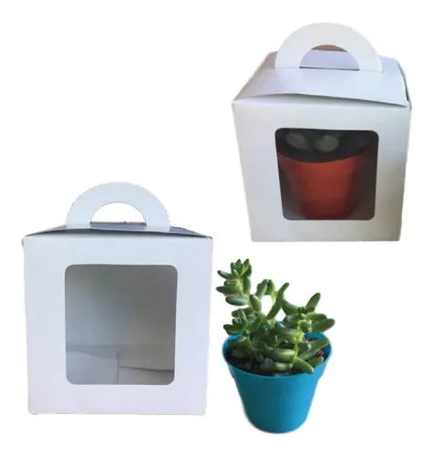 cod: 2410 (50u) CAJA PARA SUCULENTAS REGALOS SOUVENIRS     C/VENTANA - medida: 0x0x0