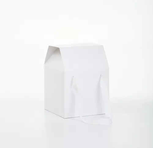 cod: 3429 (50u) CAJA C/ MANIJAS Y CA  U HUEVO PASCUA - 012C - medida: 22x16x16